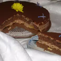 Torta od čokolade i kajsija