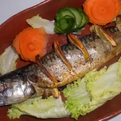 Pečena riba sa mirođijom