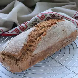Ražani hleb sa speltom