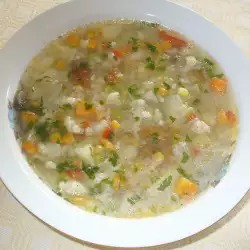 Supa Zdravlje