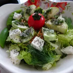 Salata od povrća sa zelenom salatom