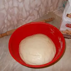 Testo za ukusnu pogaču od tipskog brašna
