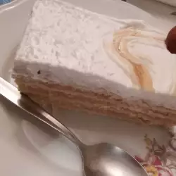 Medena torta sa plazmom i pudingom