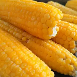 Vegetarijanska gozba sa kukuruzom