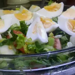 Zdrava jela sa zelenom salatom