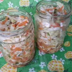 Salata od kupusa i šargarepe - turšija