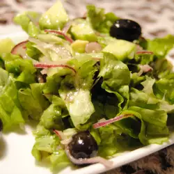 Salata sa Zelenom Salatom