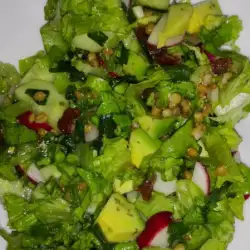 Zelena salata sa avokadom