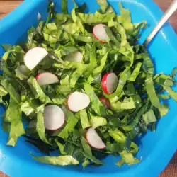 Prolećni recepti sa zelenom salatom