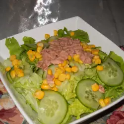 Zelena salata sa kukuruzom