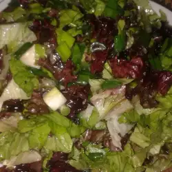 Vitaminska salata sa zelenom salatom