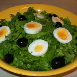 Vegetarijanska jela sa zelenom salatom