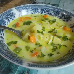 Supa od povrća sa mladim lukom