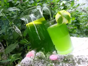 Aromatičan sirup od mente