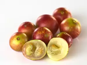 Kamu kumu isečen