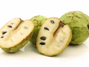 Čerimoja