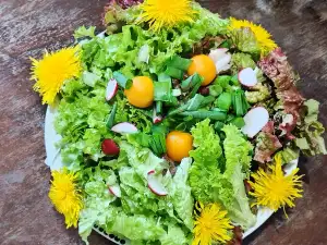 Šarena uskršnja salata sa peruanskom jagodom i šafranom