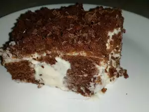 Bušeni kolač sa kremom