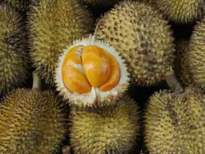 Durian