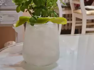 Gin Fizz koktel