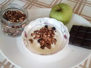 Domaća granola sa čokoladom