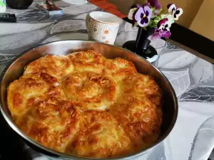 Ruža burek