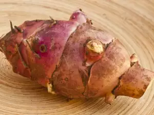 jerusalimska-guta-cicoka