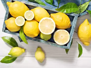 4 recepta za sušeni limun