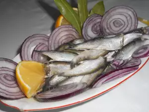 Salata od evropskog inćuna sa lukom