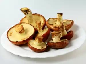 Slinavke