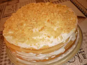 Medena torta sa pavlakom i tečnom čokoladom