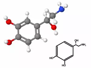 Norepinefrin