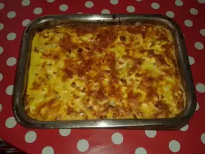 Gratin za stundente