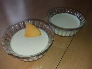 Panakota sa dinjom bez šećera