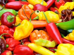 Koliko paprika ima u 1 kg?