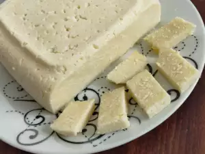 Mladi kačkavalj đubek