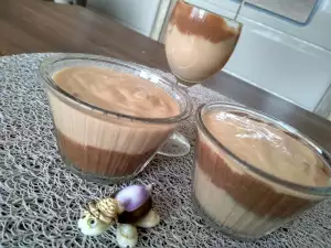 Dvobojni domaći puding