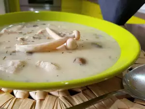 Ćureći frikase sa pečurkama i majčinom dušicom