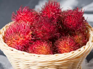 Rambutani