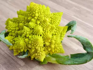 Romanesco Brokoli