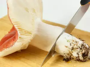 Pripremanje golubače