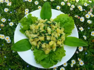 Prolećna krompir salata sa koprivom i sremušem