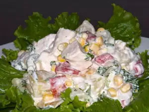 Salata Novi vek