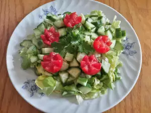 Salata trokadero sa čeri paradajzom