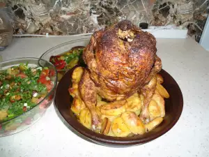 Sedeće pile na krompiru