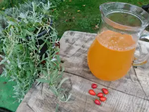 Domaće vino od šipuraka sa limuntusom