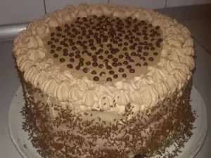 Čokoladna torta sa instant kafom