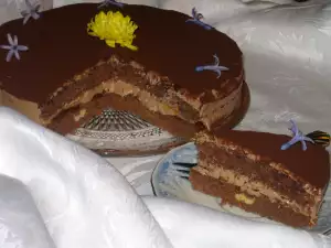 Torta od čokolade i kajsija