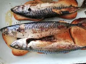 Skuša na kriškama hleba u rerni