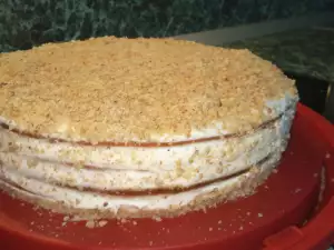 Torta sa medenim korama i kiselom pavlakom